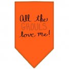All the Ghouls Screen Print Bandana Orange Small