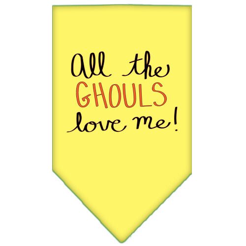 All the Ghouls Screen Print Dog Dress Baby Blue 4X (22)