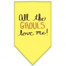 All the Ghouls Screen Print Dog Dress Baby Blue 4X (22)