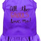All the Ghouls Screen Print Dog Dress Purple XXXL (20)