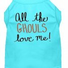 All the Ghouls Screen Print Dog Shirt Aqua XL (16)