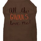 All the Ghouls Screen Print Dog Shirt Brown XS (8)