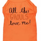 All the Ghouls Screen Print Dog Shirt Orange Lg (14)