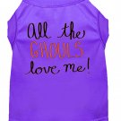 All the Ghouls Screen Print Dog Shirt Purple XXL (18)