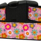 All Wrapped Up Nylon Dog Leash 3/8 inch wide 6ft Long