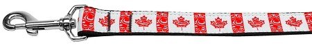 Aloha Cutie Nylon Ribbon Pet Leash 3/8 inch wide 6Ft Lsh