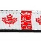 Aloha Cutie Nylon Ribbon Pet Leash 3/8 inch wide 6Ft Lsh