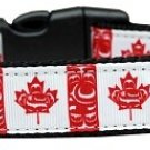 Aloha Cutie Nylon Ribbon Pet Leash 5/8 inch wide 6Ft Lsh