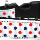 American Swag Nylon Dog Leash 3/8 inch wide 4ft Long