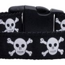 Anchors Nylon Ribbon Collar Blue Large