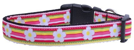 Anchors Nylon Ribbon Collar Blue Small