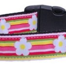 Anchors Nylon Ribbon Collar Martingale Blue Large
