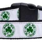 Anchors Nylon Ribbon Leash White 3/8 wide 6ft Long