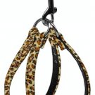 Animal Print Step In Harness Jaguar 10