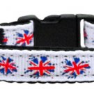 Aqua Moustaches Ribbon Pet Leash 1 wide 4ft