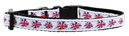 Aqua Santa Nylon Ribbon Pet Leash 1 wide 6ft
