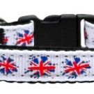 Aqua Santa Nylon Ribbon Pet Leash 1 wide 6ft