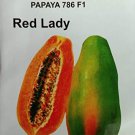 Red Lady  papaya seed Fruit-F1 Taiwan Hybrid Seeds Plant (5g)