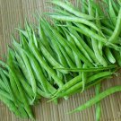 Kraft Seeds! Summer Vegetable Cluster Beans indian Seeds – 6gm  Home & kitchen garden