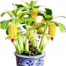 Banana Seeds,Tropical Fruit Seeds, Balcony Flower for Home Planting 15 seed,