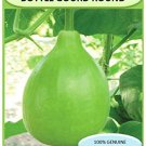 Vegetable Seeds Bottle Gourd Round | F1 Hybrid | Organic Seeds |20 seed pack