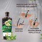 Dabur Vatika Naturals Aloe Vera Hair Oil with 7 Ayurvedic Herbs 300 ML