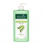 Biotique Fresh Neem Anti Dandruff Shampoo with Conditioner 650 ml