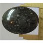 Fossil Stone cabochon, 39X29mm oval