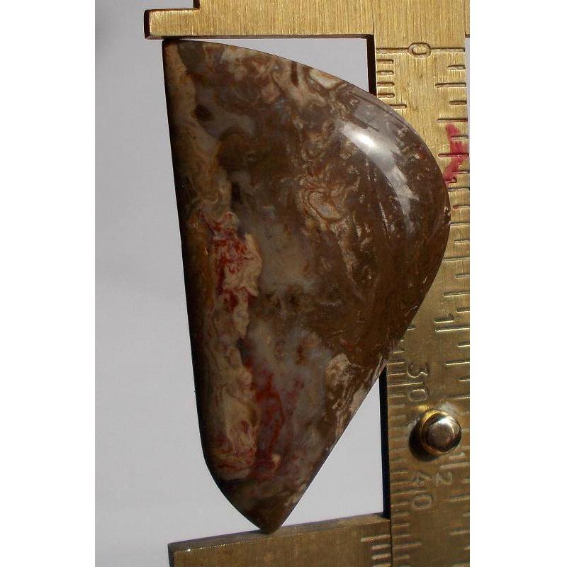 Fossil palm root cabochon, 44X24mm freeform