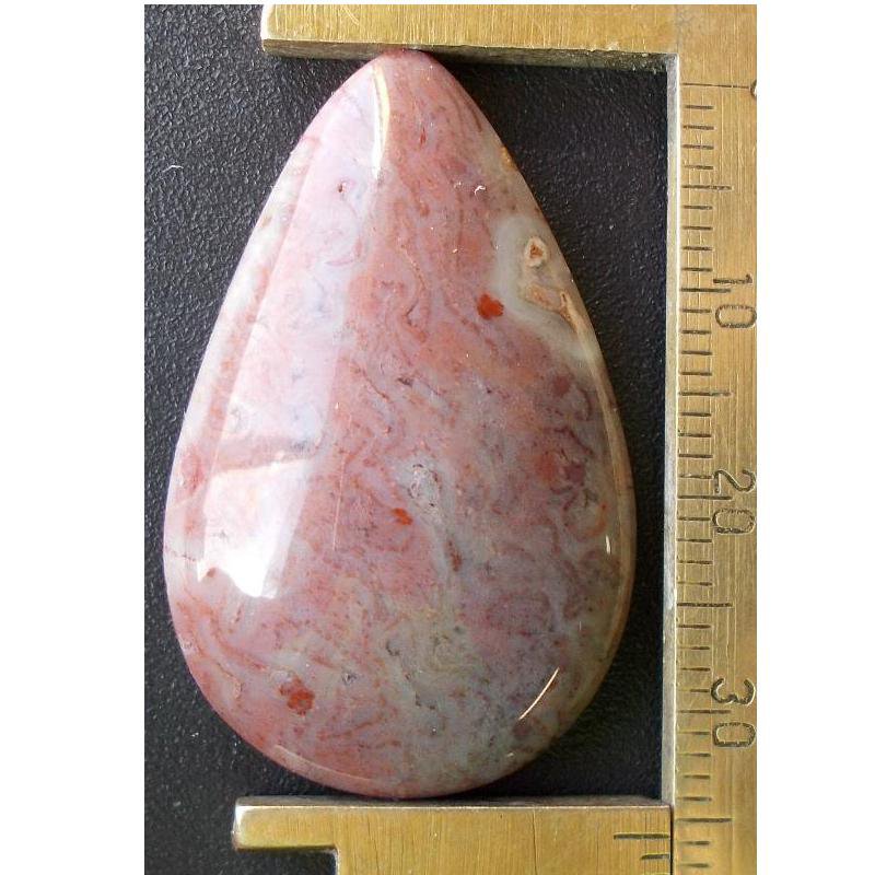 Fossil palm cabochon, 36X22mm drop