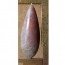 Fossil palm cabochon, 42X15mm freeform drop