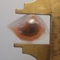laguna agate cabochon, 25X16.5mm freeform