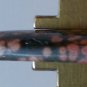 Ocean jasper cabochon, 44.5X21mm freeform
