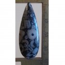 Crinoid cabochon, 39X 14.5mm drop Crinoid cabochon, 39X 14.5mm drop