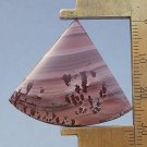 apache sage rhyolite cabochon, 34.6X30.4mm fan