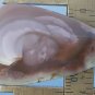 royal imperial jasper cabochon, 40.3X25mm freeform drop