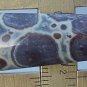 orbicular jasper cabochon, 44.2X15.3mm keystone drop