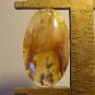 grave yard plume agate cabochon, 28.6X16.7mm oval