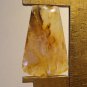 grave yard plume agate cabochon, 30X20mm keystone