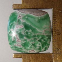 lucerne variscite cabochon, 22.5X22.7mm square