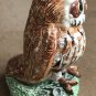 Beautiful Barred Owl by Basil Matthews - from England