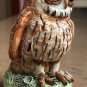 Beautiful Barred Owl by Basil Matthews - from England