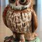 Beautiful Barred Owl by Basil Matthews - from England