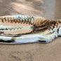 Wisnewski Drip Glaze Pottery Fish Dish Bowl
