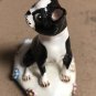 Boston Terrier by Basil Matthews - from England