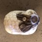 Japanese Signed Kappa On Turtle Netsuke