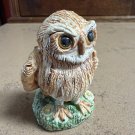 Old Beautiful Screech Owl by Basil Matthews - from England Old Beautiful Screech Owl by Basil Matthews - from England
