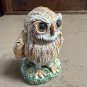 Old Beautiful Screech Owl by Basil Matthews - from England