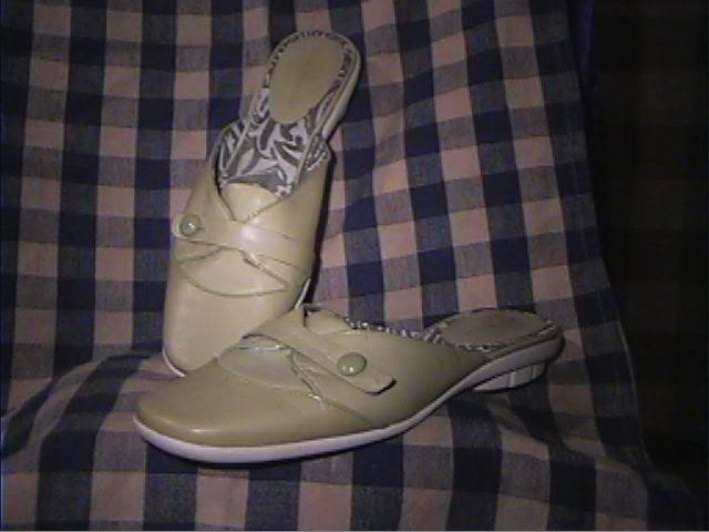 enzo angiolini marcey mule