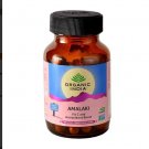 Ayurveda Organic Natural Antioxidant - 60 Amalaki Capsules